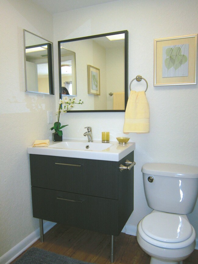 Bathroom Cabinets Tampa oak bend - tampa, fl | apartment finder Bathroom Cabinets Tampa oak bend - tampa, fl | apartment finder