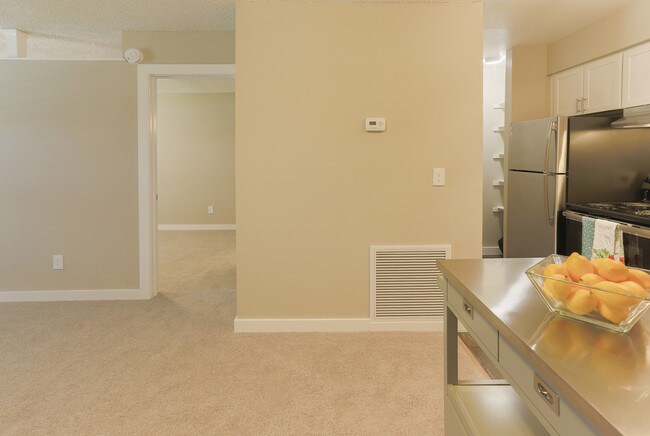 Pet Friendly Apartments Winter Park Fl Pet Friendly Apartments Winter Park Fl