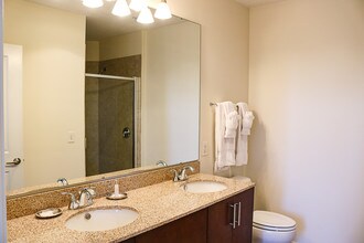 Bathroom Sinks Charlotte Nc catalyst - charlotte, nc | apartment finder Bathroom Sinks Charlotte Nc catalyst - charlotte, nc | apartment finder