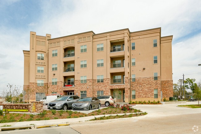 Avenue Station Houston, TX Apartment Finder