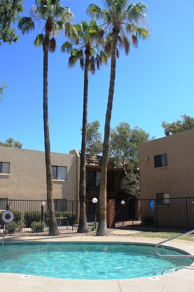 Desert Palms Tucson, AZ Apartment Finder