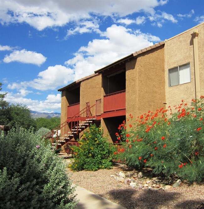 Tanque Verde Apartments Tucson, AZ Apartment Finder