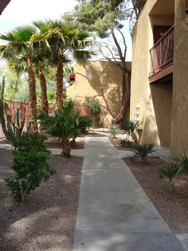 Desert Rose Las Vegas, NV Apartment Finder