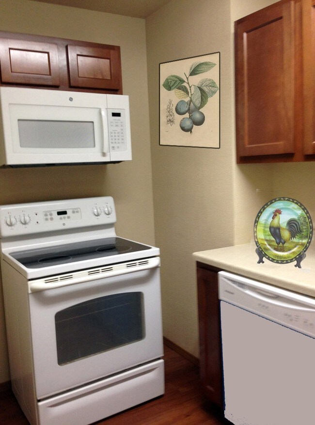 Holiday Terrace Apartments - Branson, MO | Apartment Finder